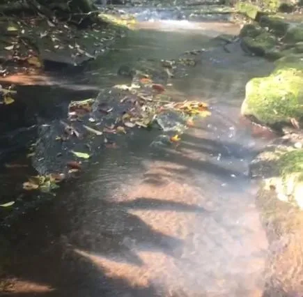 Imagem Chácara para Venda em Taquara / RS no bairro Santa Cruz da Concórdia
