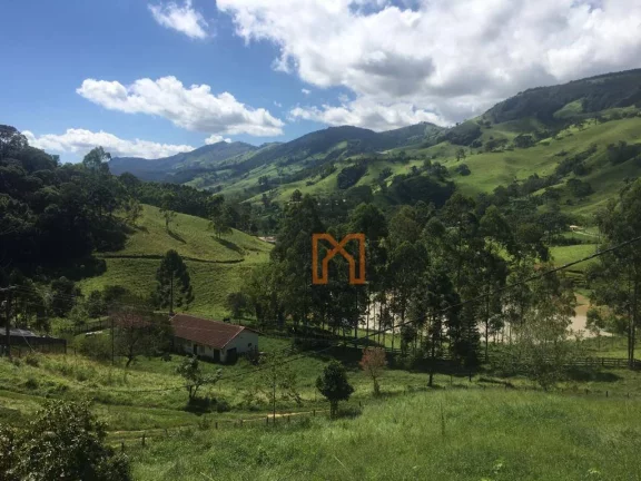 Imagem Fazenda com 4 dormitórios à venda de 303 hectares - Zona Rural - Delfim Moreira/MG