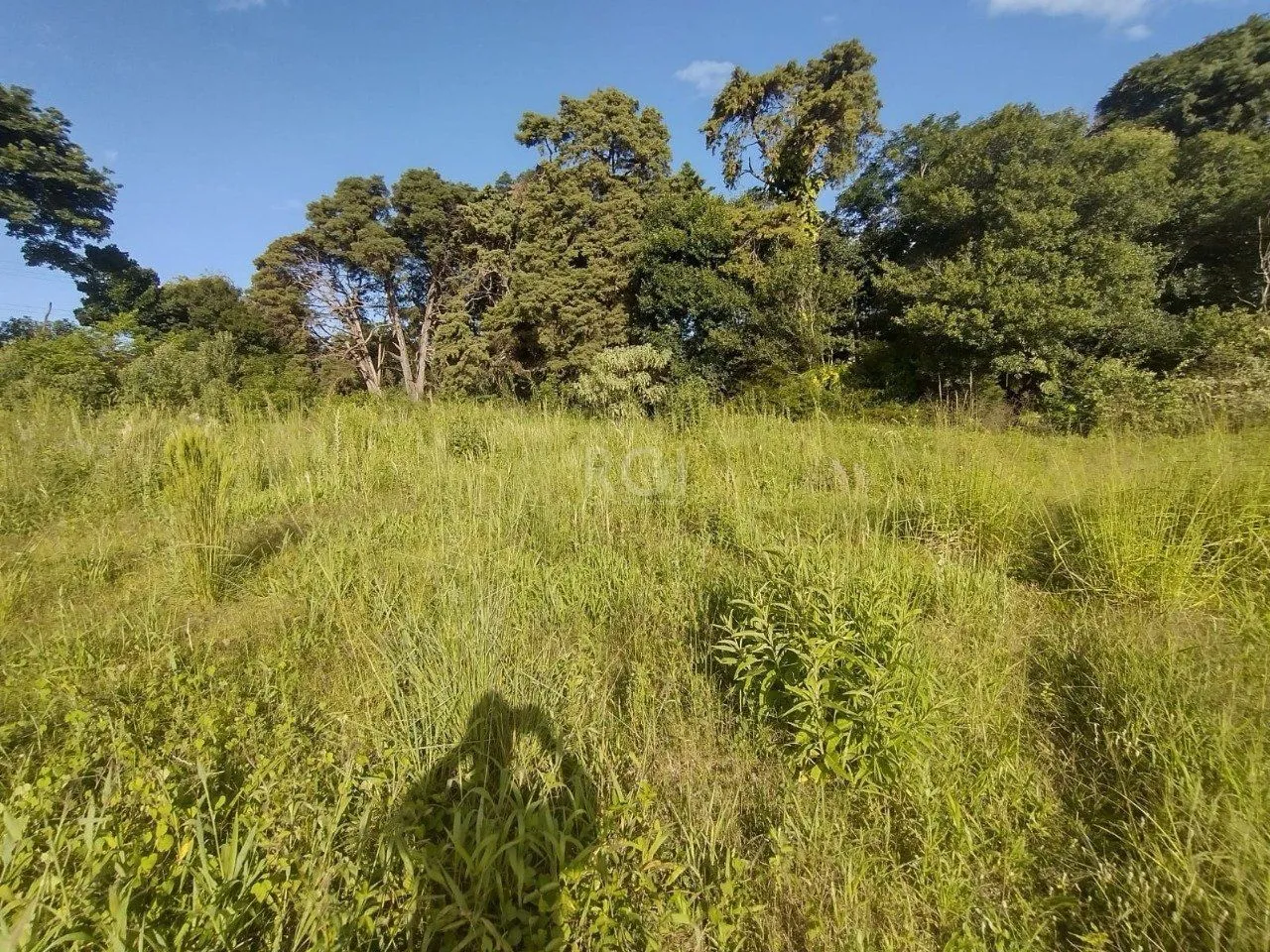 Imagem Área de terras no bairro Campo Novo