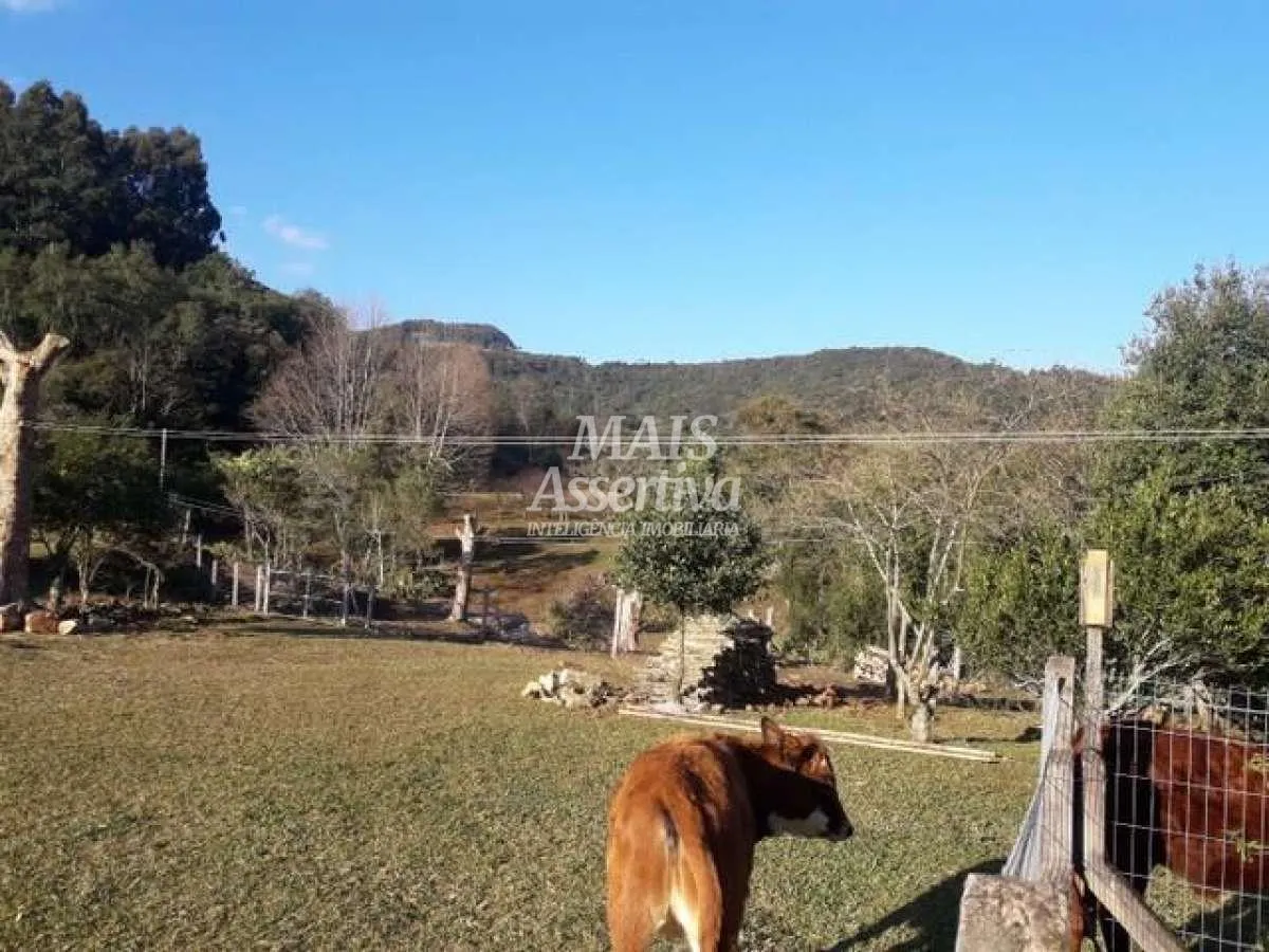 Imagem Sítio para Venda em São Francisco De Paula / RS no bairro Boa Vista