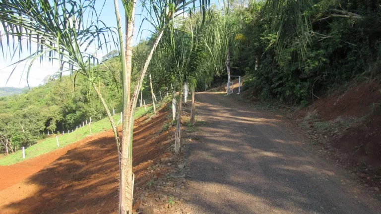 Imagem Terreno para Venda em Itá, Interrior