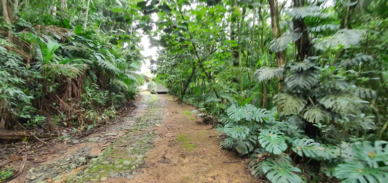 Imagem Sitio com 355.700m², 35 hectares no Bairro Encano do Norte | Indaial/SC