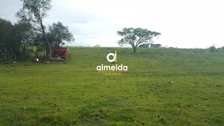 Imagem TERRENO NA BR392