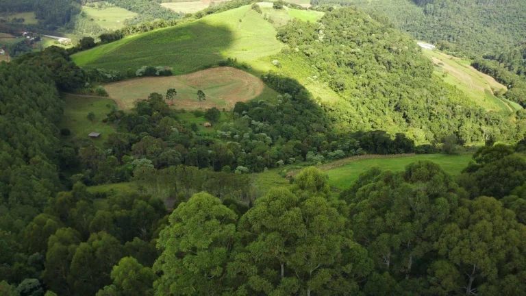 Imagem Área Agrícola para Venda em Arabuta, Sc-154