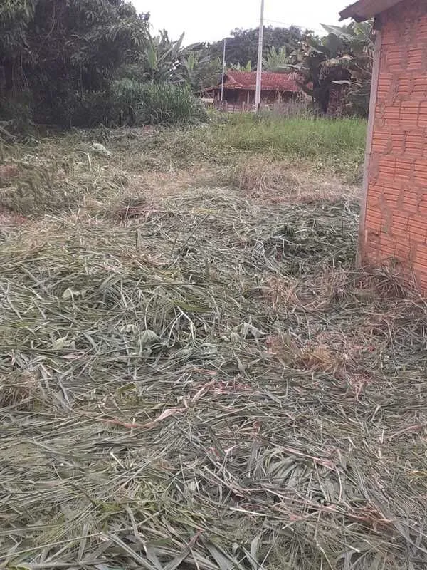 Foto do imóvel Terreno à venda, 1460 m² por R$ 84.000,00 - Distrito de Alagoas - Patos de Minas/MG