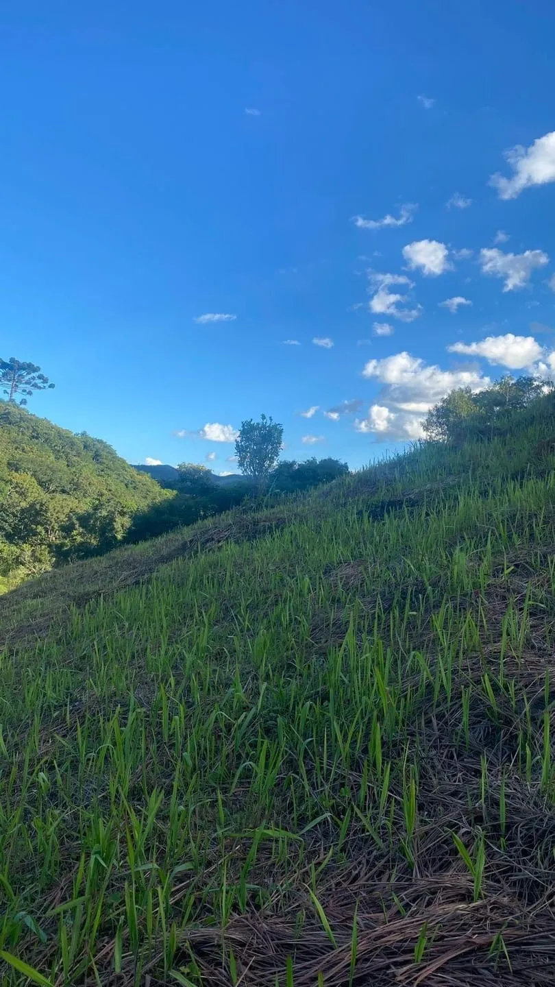 Imagem Chácara à venda 1002M², Bairro do Rio Preto, Santo Antônio do Pinhal - SP