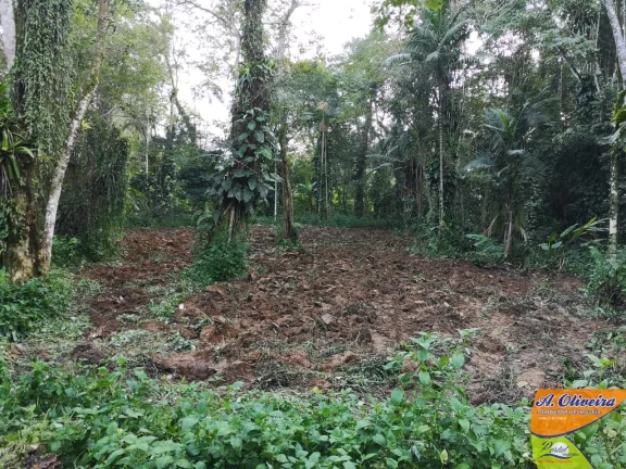 Imagem Oportunidade - Área com 56.000 metros quadrados a 200 metros da rodovia Rio / Santos