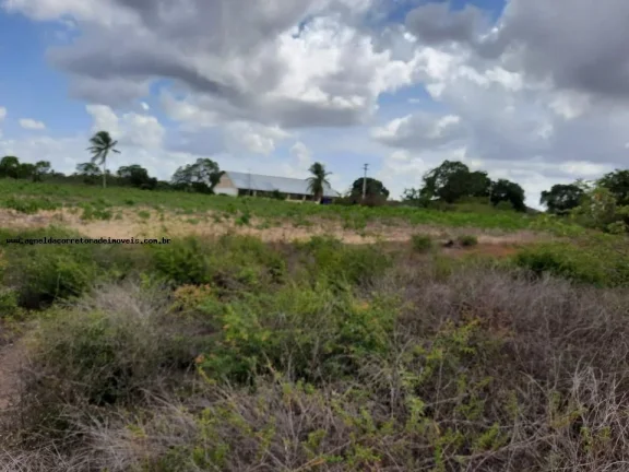 Imagem Granja para Venda em Macaíba, Centro