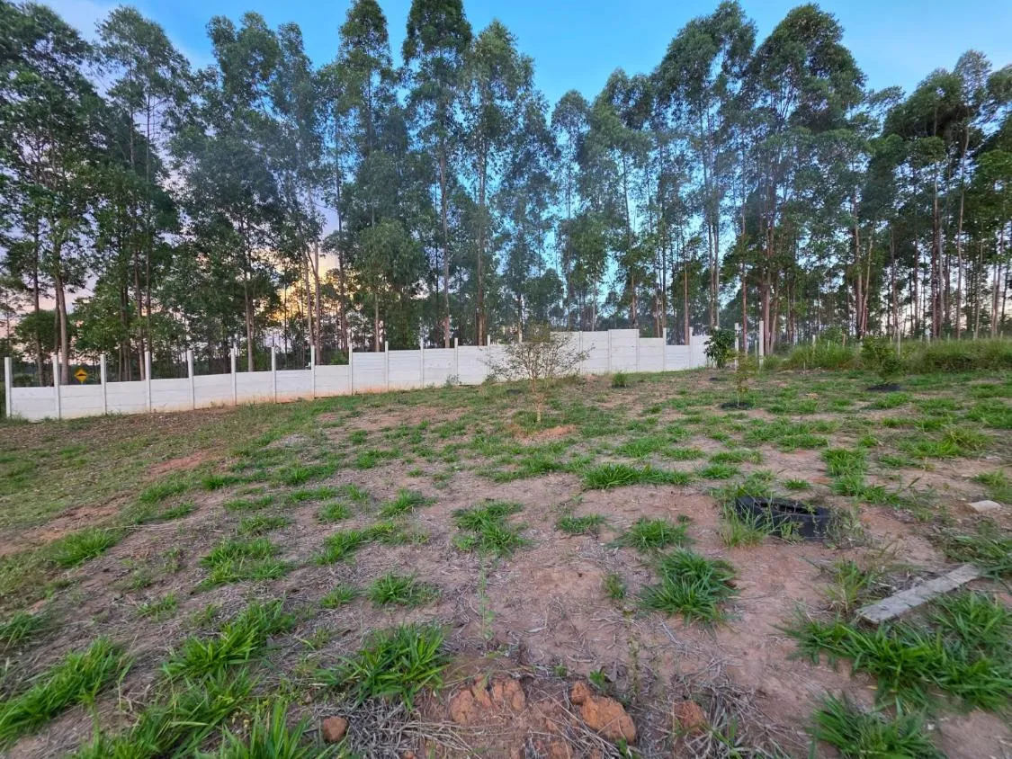 Imagem chácara belíssima a venda em Itatiaiuçu/MG , Terreno amplo com aprox. 2.500m²