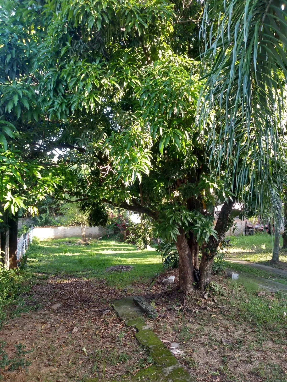 Imagem Chácara com 4 dormitórios à venda, 2200 m² - Vila Helena - Sorocaba/SP