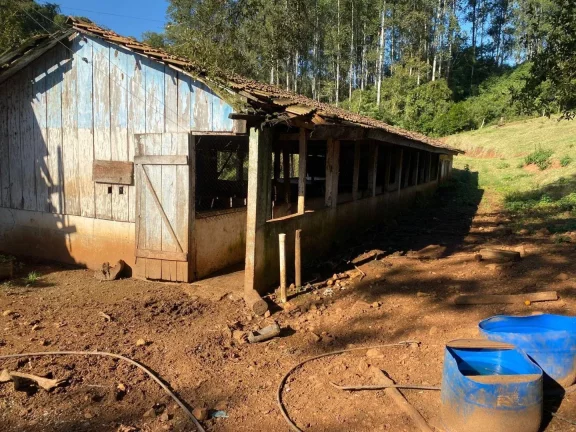 Imagem Área Agrícola para Venda em Itá, Sc-154