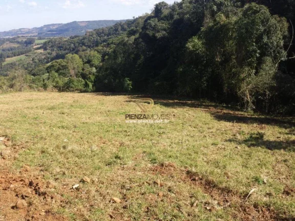 Imagem Granja para Venda em Ipumirim, Interior