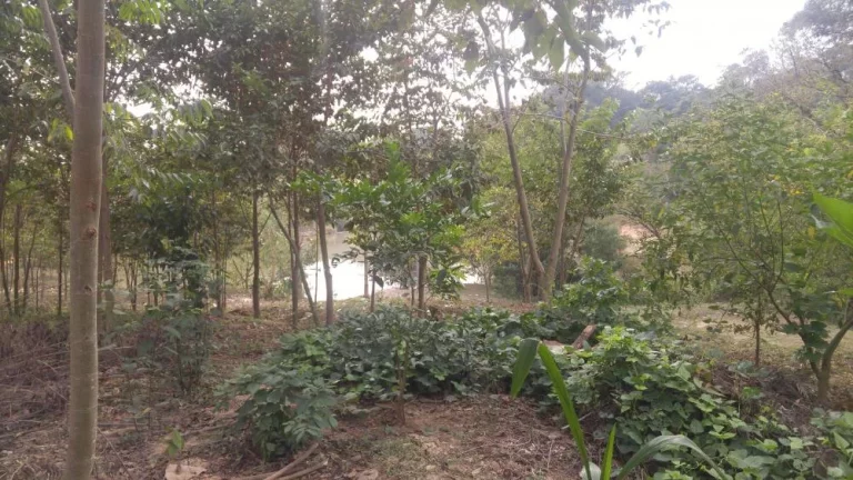 Imagem Lindo sitio a venda em Tatuí/SP