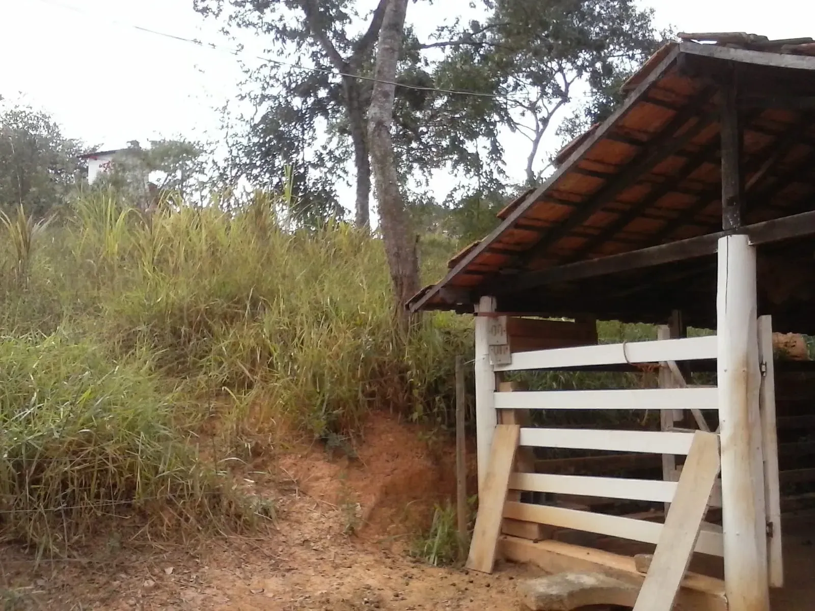 Imagem Sítio à Venda, 50.000 m² em Centro - Jaboticatubas