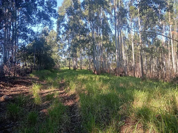 Imagem Excelente Área para Investimento - 29 Hectares, Pimenta, Viamão/RS