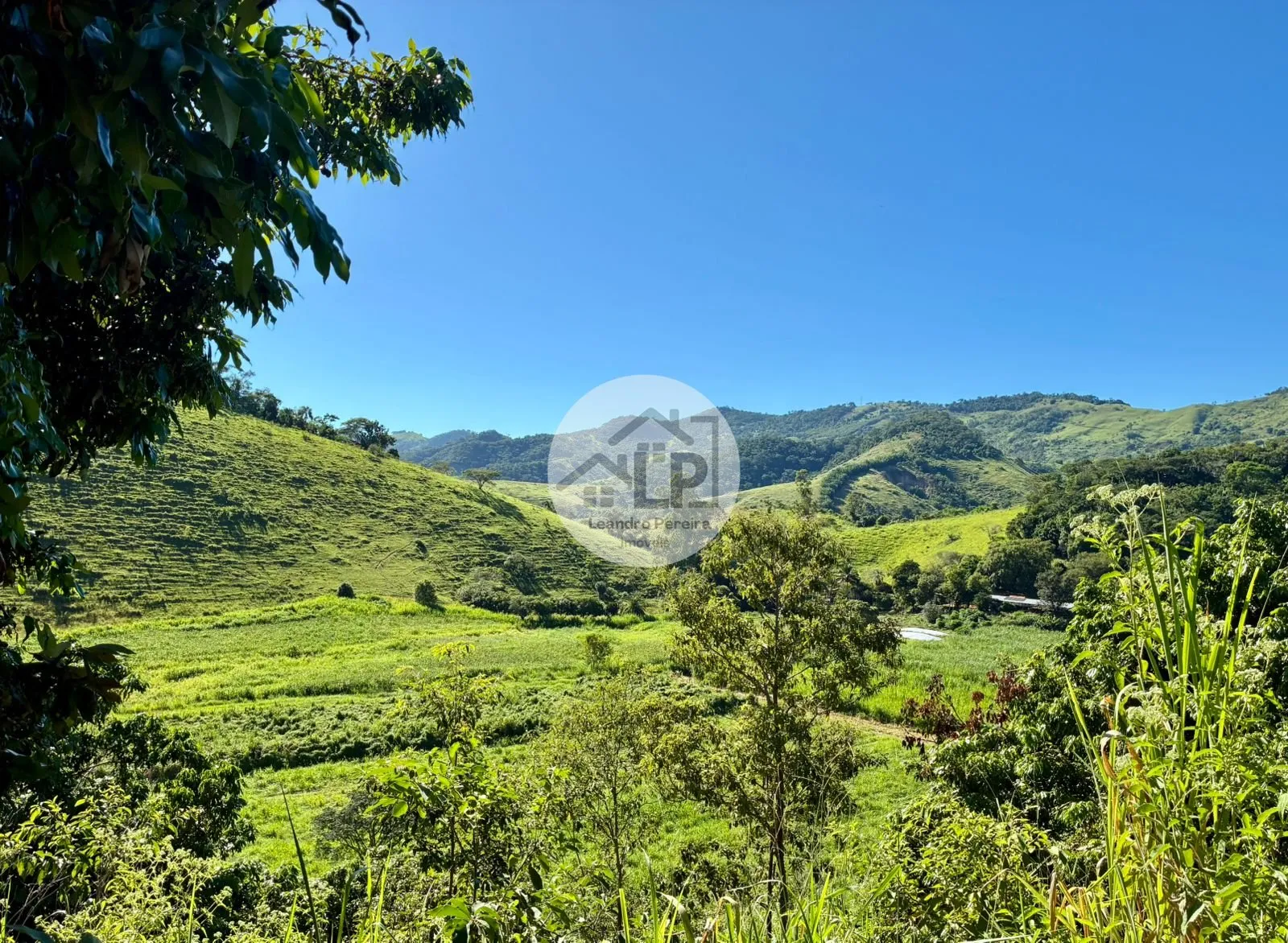 Imagem Fazenda/Sítios/Chácaras de 480000m² no bairro Carmo, em Carmo