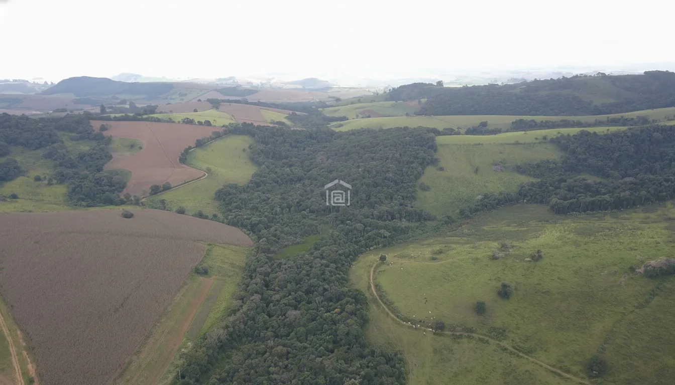 Imagem Fazenda 338,8 ha à venda em Itacolomi, Ipuiúna