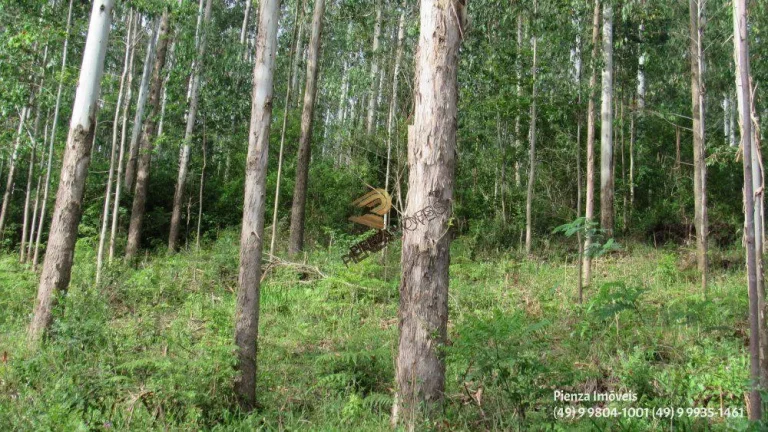 Imagem Terreno para Venda em Concórdia, Planalto