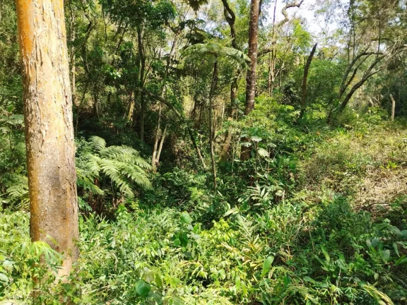 Imagem Sítio 36 mil m² Piracaia Asfalto e Escritura Estuda Proposta!!