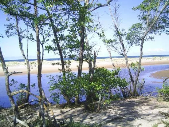 Imagem PARAÍSO PIRACANGA