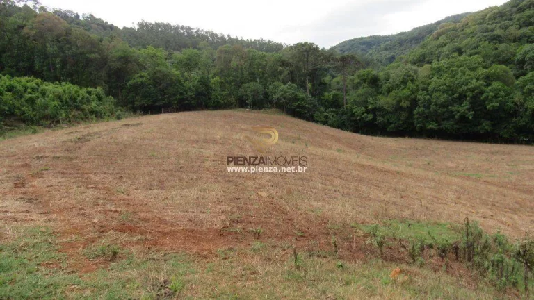 Imagem Área Agrícola para Venda em Ipumirim, Interior
