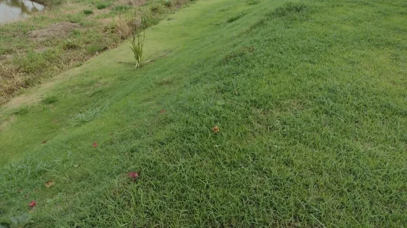 Imagem Vendo Sítio em Lagoa Dourada / MG , com 12.500 m² de área.