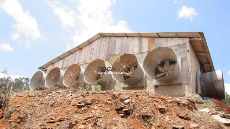 Imagem Granja para Venda em Lindóia do Sul, Interior