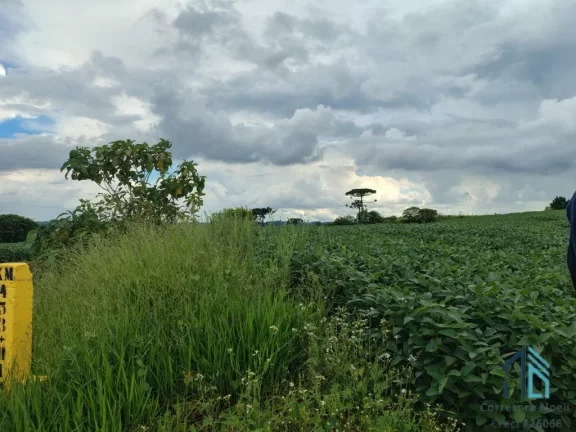 Imagem Terreno com 9,2 Alqueires, área verde ideal para plantio ou construção, em Campo Largo PR
