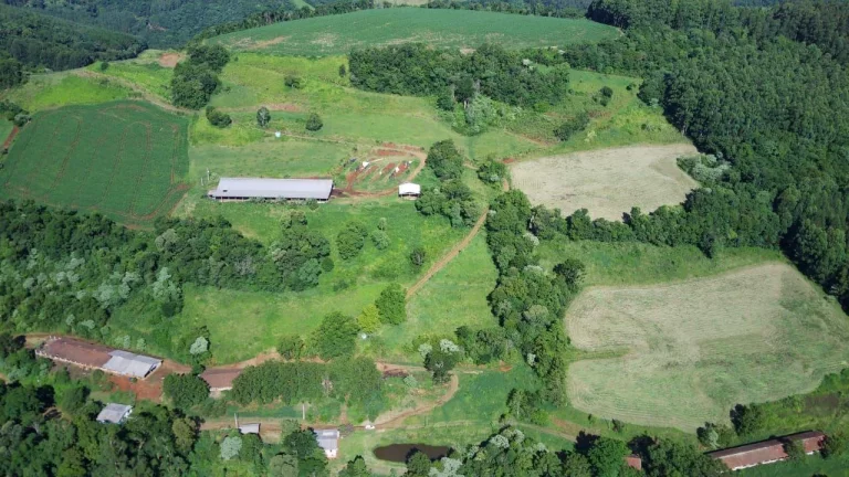Imagem Área Agrícola para Venda em Lindóia do Sul, Centro