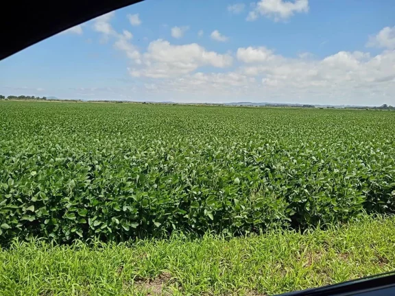 Imagem Fazenda à Venda – 194 Hectares – Viamão/RS