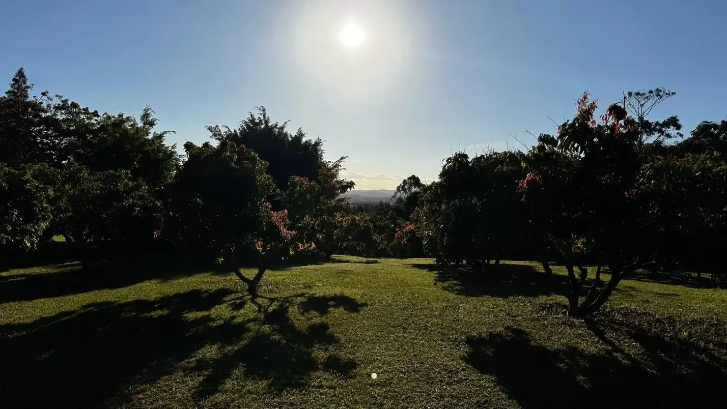 Imagem Chácara com 4 Quartos à Venda, 36.000 m² em Colonia Agricula Itapeti - Mogi das Cruzes
