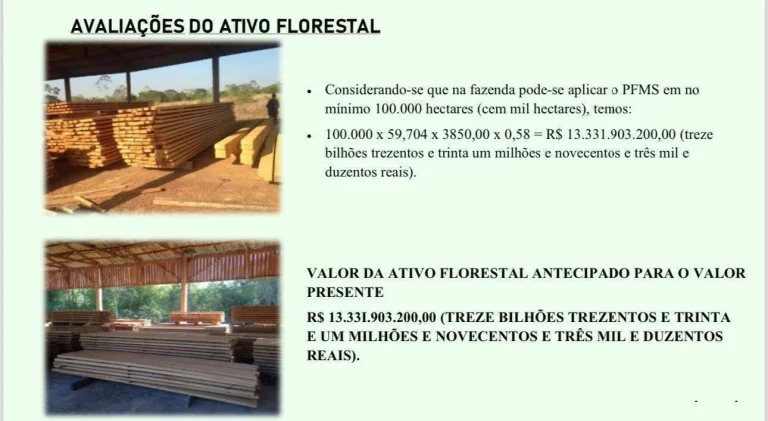 Imagem Área - Propriedade à Venda - MT