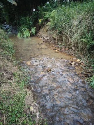 Imagem VENHA CONHECER O PARAÍSO NOVA TRENTINO! SÍTIO RECANDO DA ESPERANÇA Você está em busca de um refúgio tranquilo, próximo à natureza