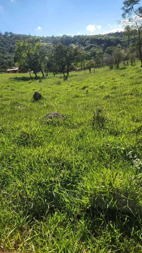 Imagem Vende-se excelente terreno em Bonfim/MG com Área total de 23 hectares, toda formada