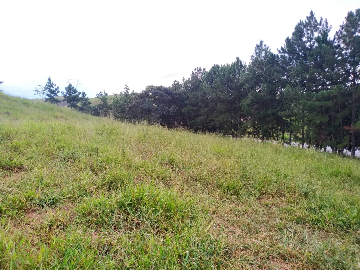 Imagem Chácara à venda 30000M², Zona Rural, Silveiras - SP