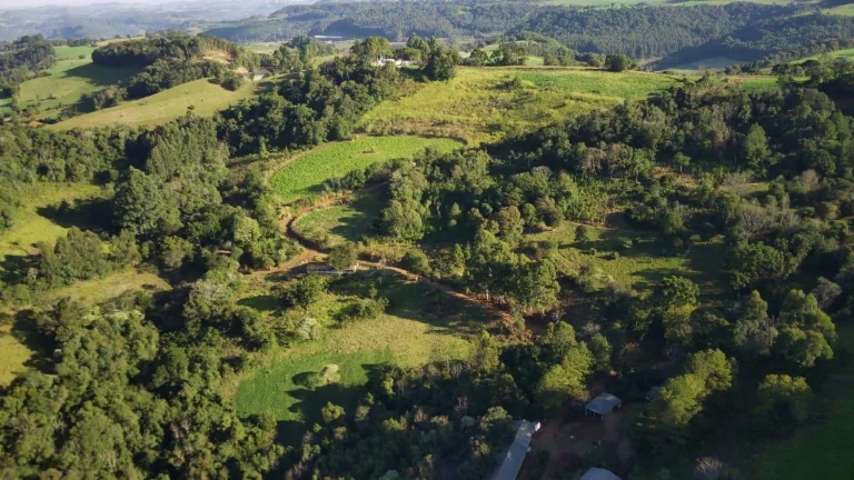 Imagem Área Agrícola para Venda em Ipumirim, Rural