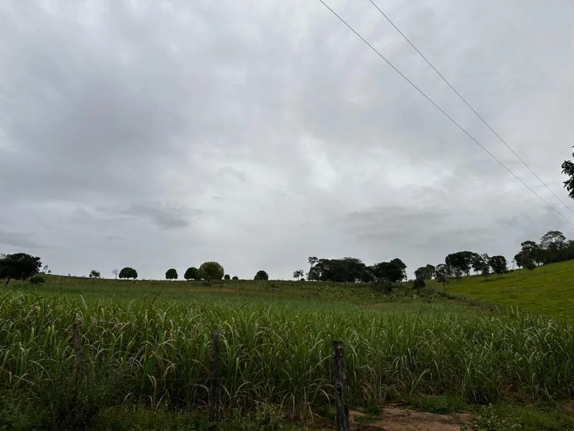 Imagem Vendo um ótimo terreno com 13 hectares de área total , em Crucilândia / MG
