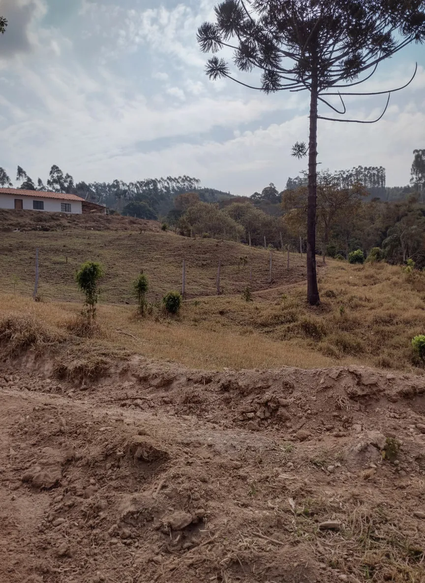 Imagem Sítio 24 m² à venda em Pocinhos do Rio Verde, Caldas