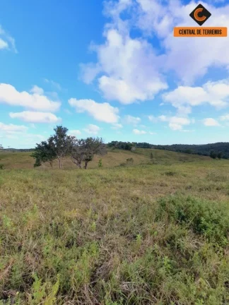 Imagem FAZENDA EM MATA DE SÃO JOÃO