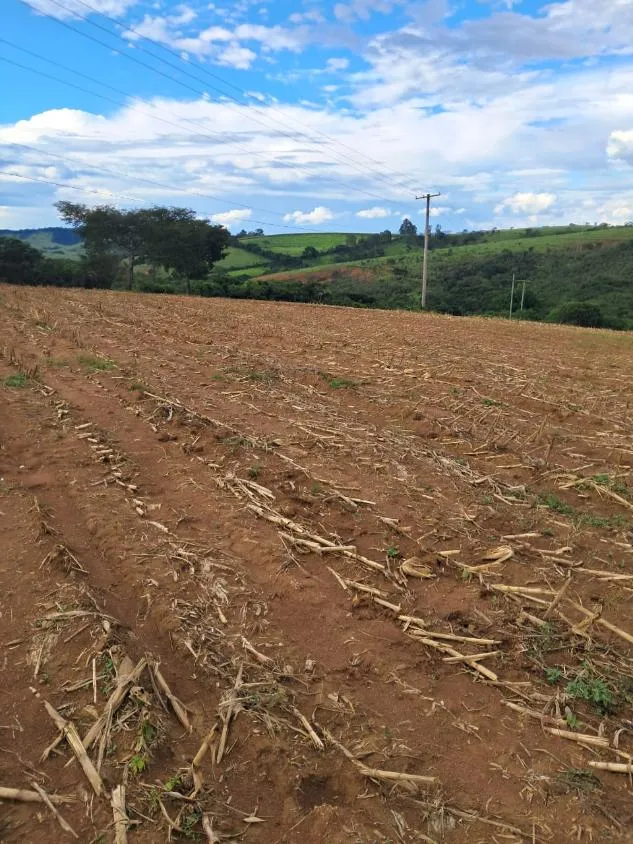 Imagem VENDE-SE FAZENDA EM PASSA TEMPO / MG área total de 100 hectares