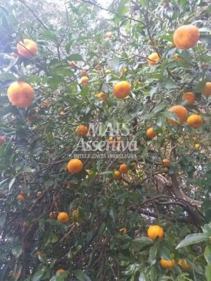 Imagem Sítio para Venda em Rolante / RS no bairro Morro Da Figueira