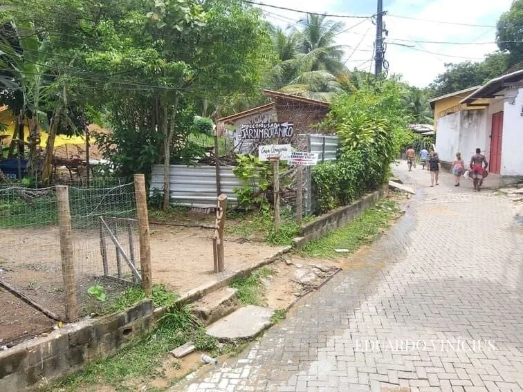 Imagem Jardim Botânico - Terreno com 1.874m² À Venda no Jardim Botânico em Morro de São Paulo