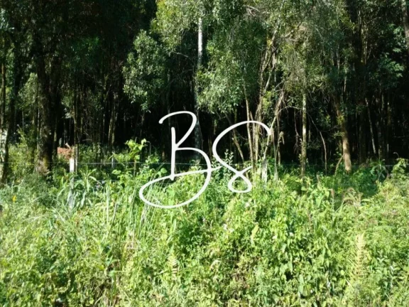 Imagem TERRENO RESIDENCIAL em GRAMADO - RS, Vale dos Pinheiros