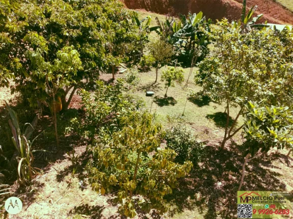 Imagem ?Sitio rural para Venda, em Major Gercino 3Km o centro. ?Com casa de madeira