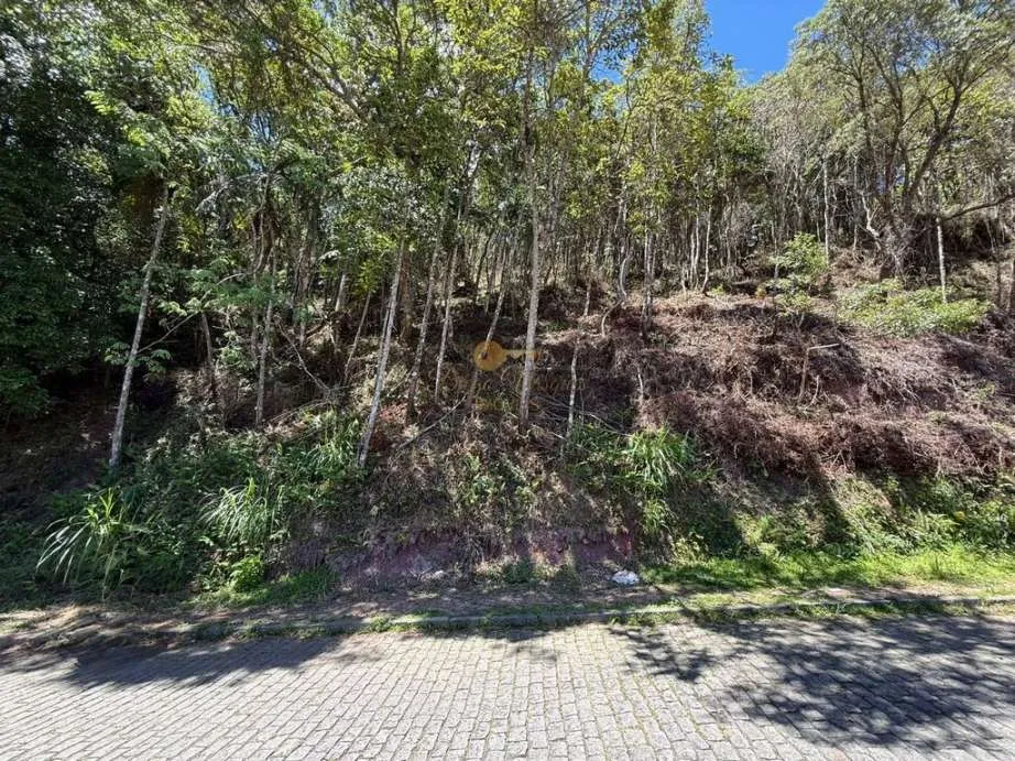 Imagem Terreno para Venda em Teresópolis / RJ no bairro Várzea