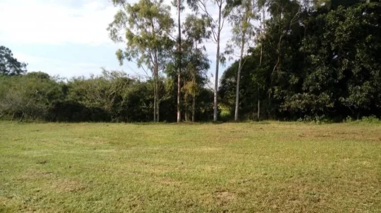 Imagem Sitio com 5.536m², mata nativa, Lagoa nos fundos, Águas Claras/ Viamão
