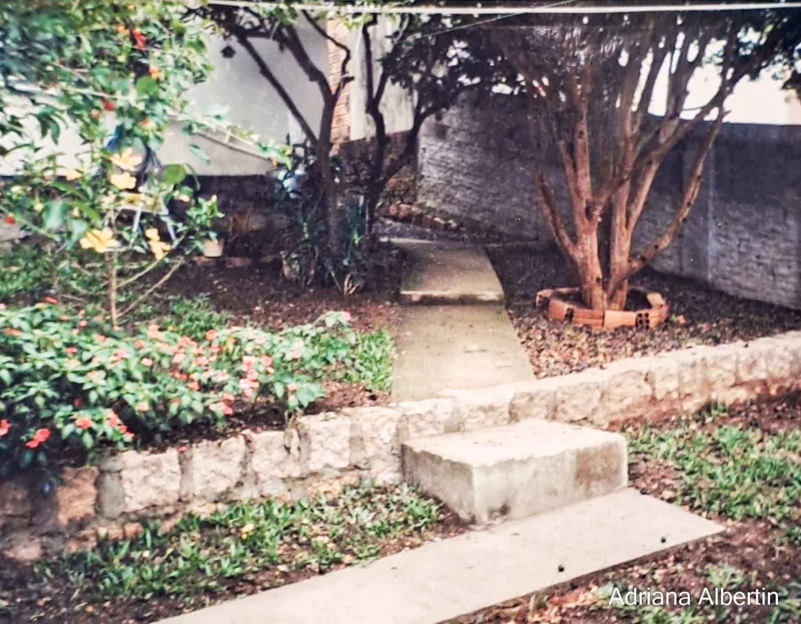 Imagem Casa com 2 dormitórios Bairro Colina