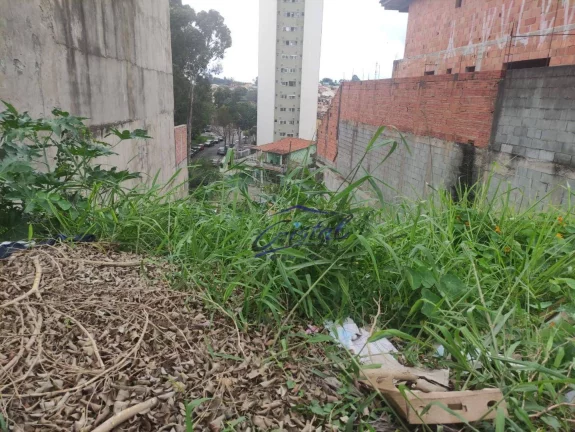 Imagem Terreno à venda, 257 m² - Jardim Ester - Butantã - São Paulo/SP