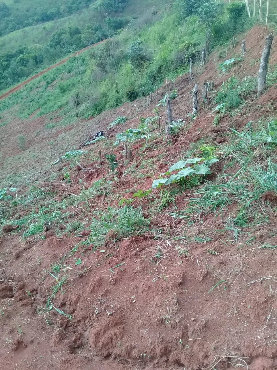 Imagem Chácara à venda 20000M², Mandú, Pindamonhangaba - SP