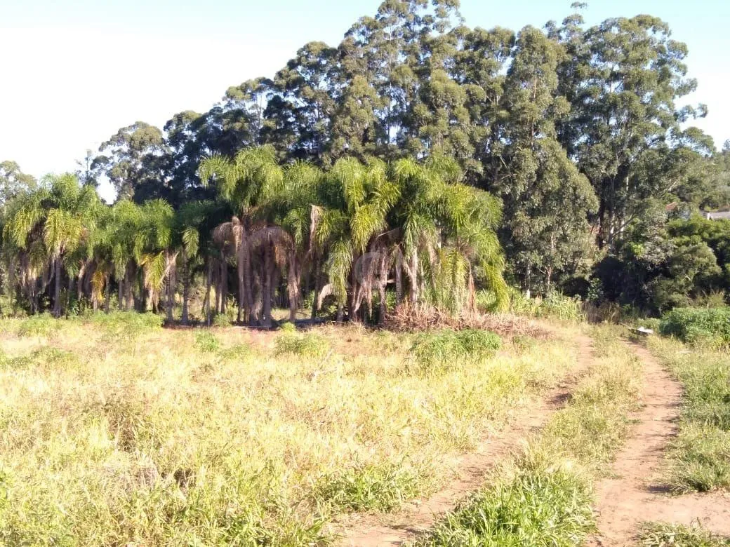 Imagem Area para Venda - 36.900m² - Campo Novo